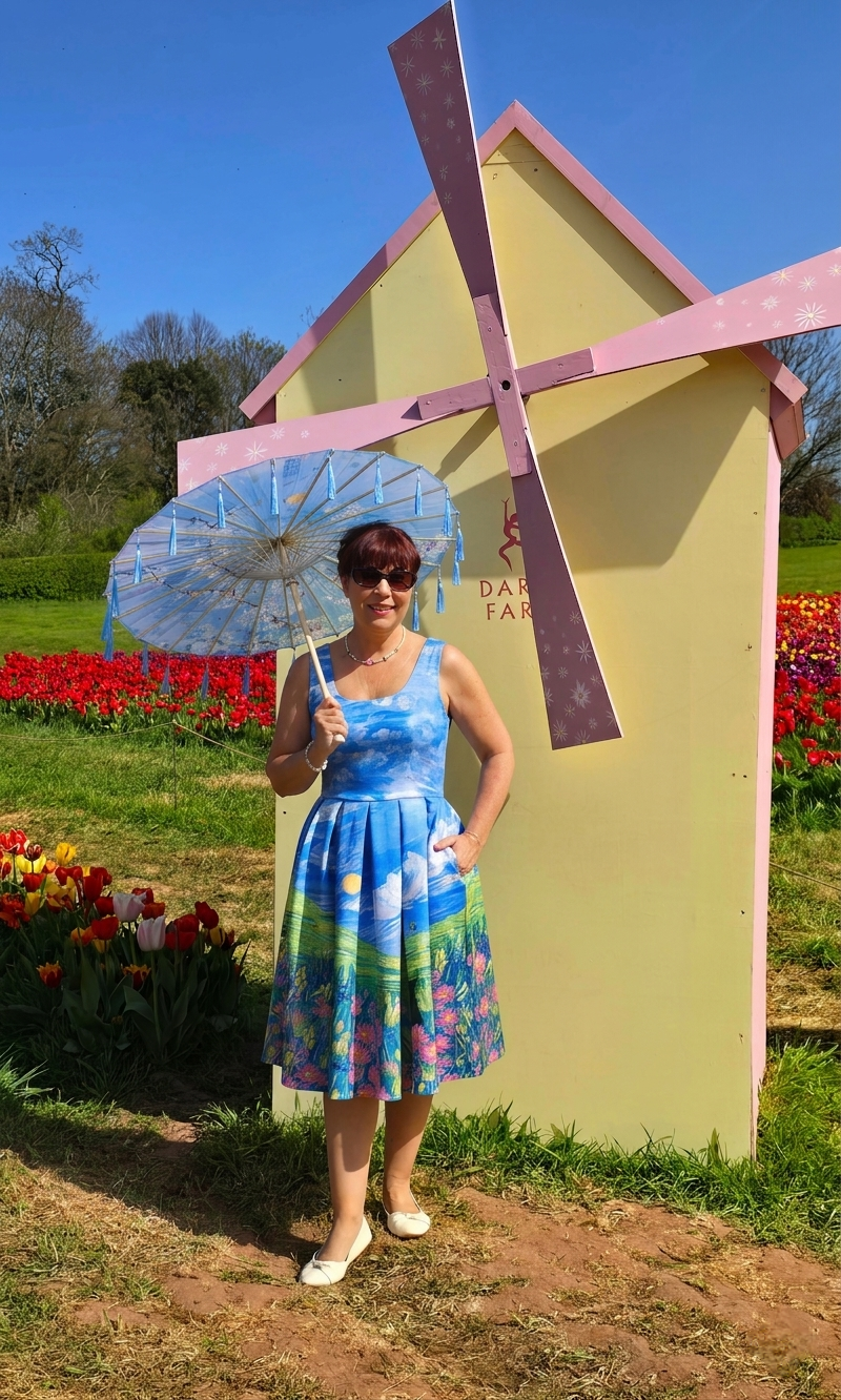 Van Gogh Day Dream Swing dress - Image 2