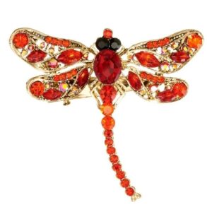 Rosie Fox dragonfly brooch/hairslide